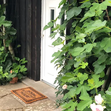 Gartenhaeuschen Im Im Park * هيردكه